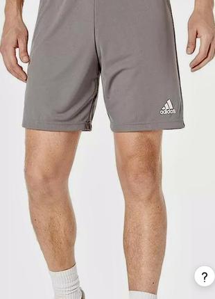 Шорти adidas entrada h57505 розмір m,l та хl