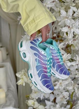 Женские кроссовки nike air max tn