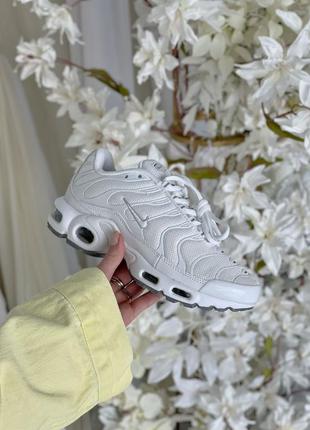 Кроссовки nike air max tn