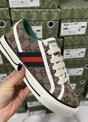 Кеди gucci