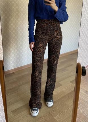 Леопардовые брюки клеш1 фото