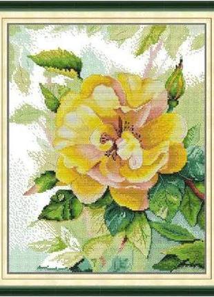 Набор для вышивания по нанесённой на канву схеме "yellow rose".aida 14ct printed , 33*41 см