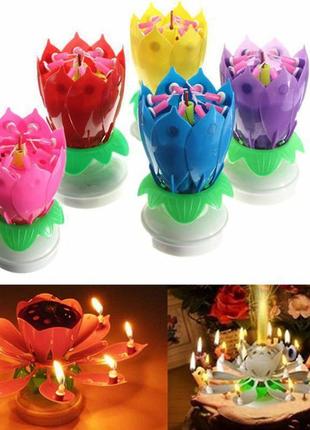 Тюльпан святкова музична розкривається свічка для торта3 фото