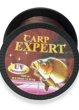 Леска carp expert uv brown 1000 m 0,35 мм3 фото