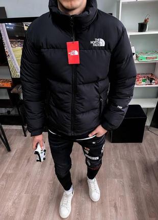 Пуховик зимовий the north face