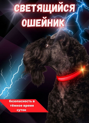 Світиться нашийник для собак діодний регульований яскравий червон