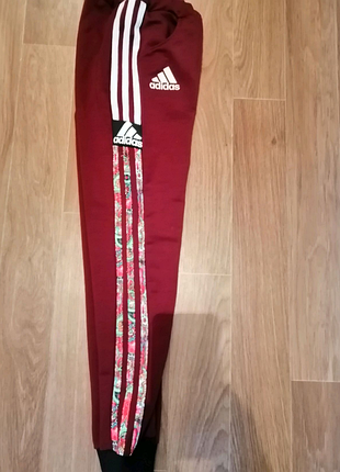 Спортивні штани