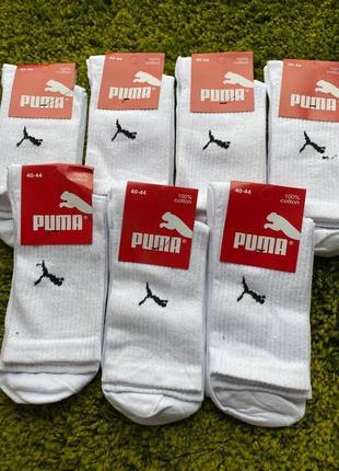 Шкарпетки  puma білі