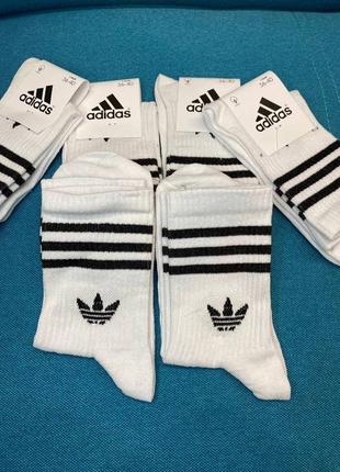 Біленькі adidas