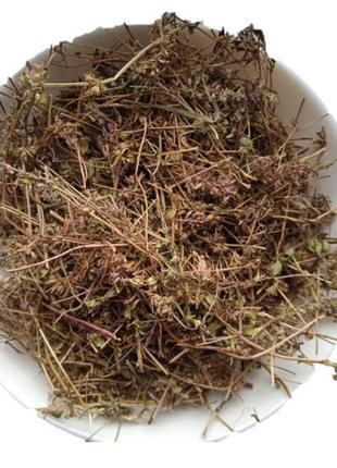 Чабрець трава сушена thymus serpyllum 5 кг