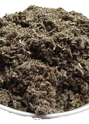 Шавлія лікарська трава сушена salvia officinalis 5 кг