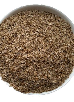 Кріп насіння сушене anethum graveolens 5 кг 2