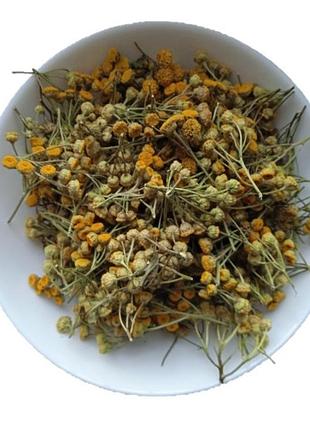 Пижма квіти сушені tanacetum vulgare 5 кг