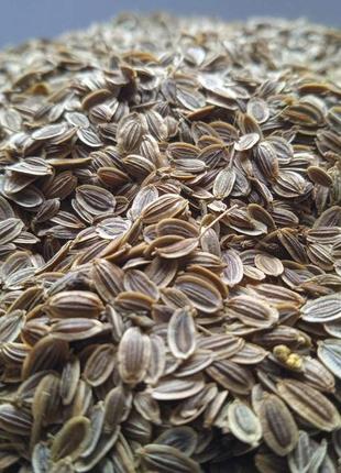 Кріп насіння сушене anethum graveolens 5 кг 6