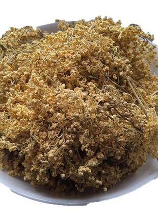 Бузина квіти сушені sambucus nigra 5 кг