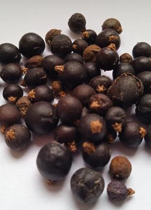 Ялівець плоди сушені juniperus communis 5 кг 4
