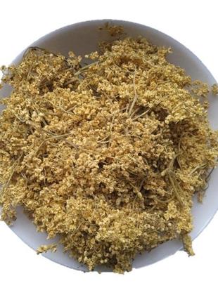 Бузина квіти сушені sambucus nigra 5 кг 2