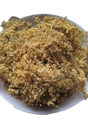 Бузина квіти сушені sambucus nigra 5 кг 3