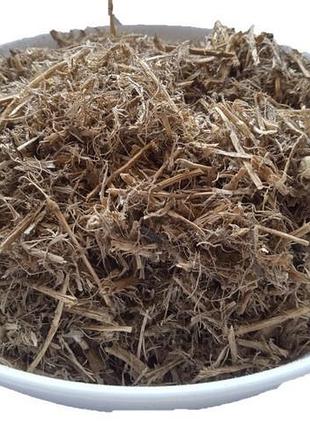 Пирій корінь сушений elymus repens 5 кг 2