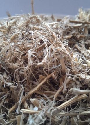 Пирій корінь сушений elymus repens 5 кг 3