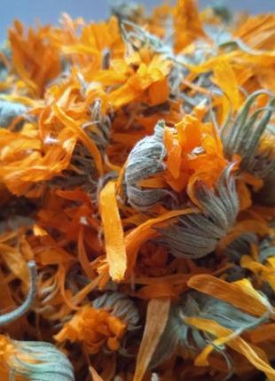 Нагідки квіти сушені calendula officinalis 5 кг 4