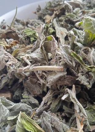 5 кг меліса трава лимонна мята melissa officinalis 7