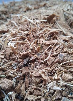 5 кг дуб кора quercus robur 3