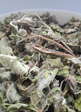 5 кг меліса трава лимонна мята melissa officinalis 8