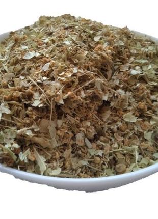 Липа квіти сушені tilia cordata 5 кг