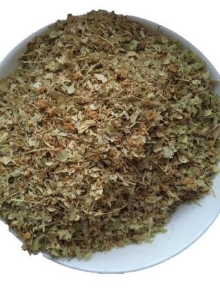Липа квіти сушені tilia cordata 5 кг 2