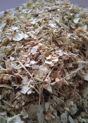 Липа квіти сушені tilia cordata 5 кг 3