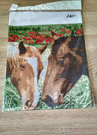 Коні в полі