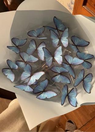 Букет із метеликів