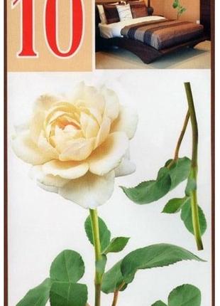 Декоративні наклейки на стіну artpecor no10 біла троянда1 фото