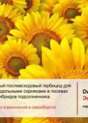 Гербіцид експрес 75 0.5 кг ціна за кг
