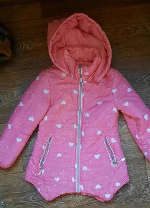 Куртка, курточка, ветровка, пальто.