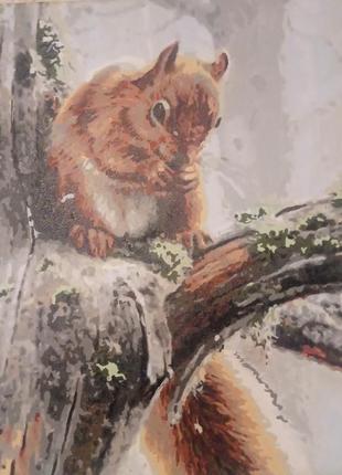 Картина намальована по номерам "білка в зимовому лісу"