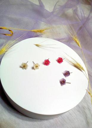 Сережки квіти.сережки ручної роботи.сережки гвоздики4 фото