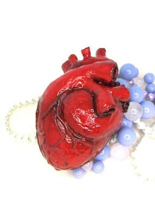 Анатомічне серце скульптура , сувенір у реальну величину5 фото
