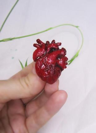 Брошка анатомічне серце із полімерної глини1 фото