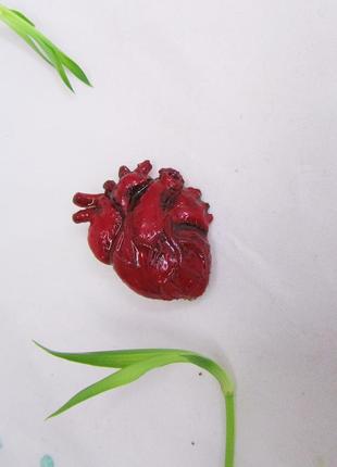 Брошка анатомічне серце із полімерної глини2 фото