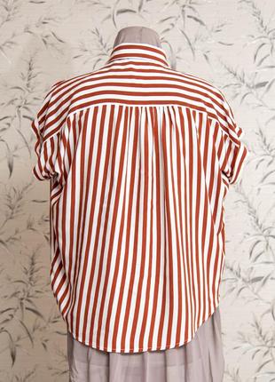 Легка блузка broadway collection у смужку з коротким рукавом, розмір s-м5 фото