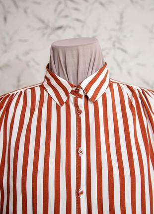 Легка блузка broadway collection у смужку з коротким рукавом, розмір s-м9 фото