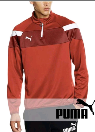 Спортивний реглан "puma"