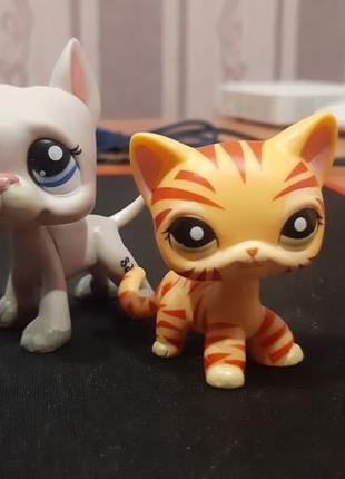 Lps лпс dog дог cat кошка pet shop hasbro хасбро2 фото