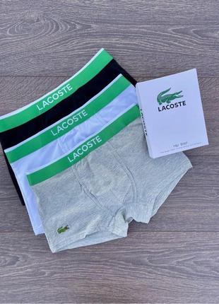 Lacoste2 фото