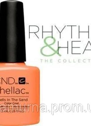 Cnd shellac shells in the sand