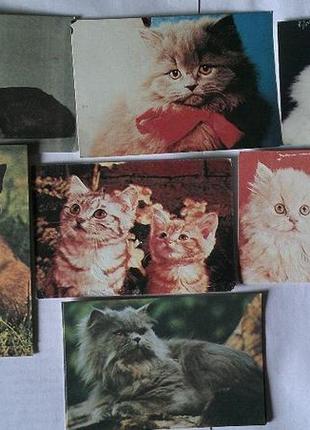 Календарики кишенькові 1989-1992рр кішки1 фото