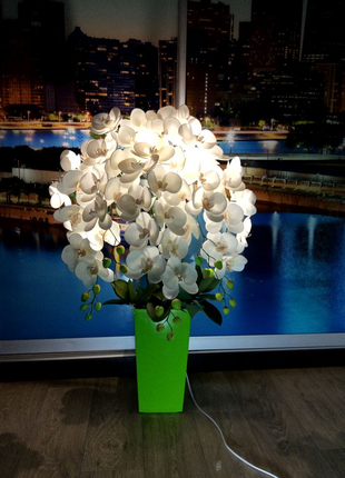 Орхідеї світильники4 фото