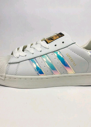 Кросівки adidas superstar